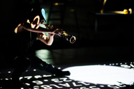 The Art of the Duo - Concert Series