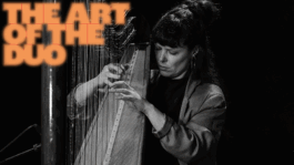 The Art of the Duo - Concert Series